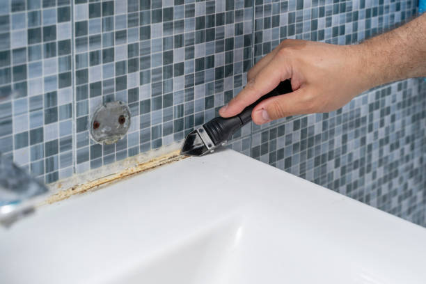 Best Health and Safety Mold Remediation in Paynesville, MN